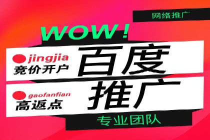 揭秘SEM推广竞价实战案例