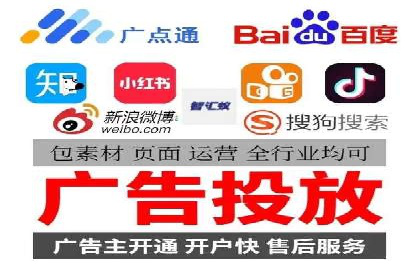 网络推广与竞价策略实战案例
